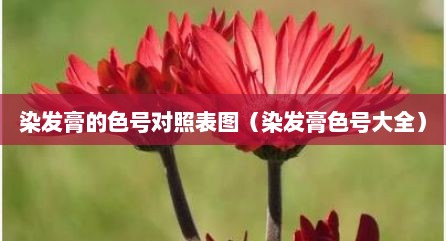 染发膏的色号对照表图（染发膏色号大全）