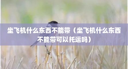 坐飞机什么东西不能带（坐飞机什么东西不能带可以托运吗）