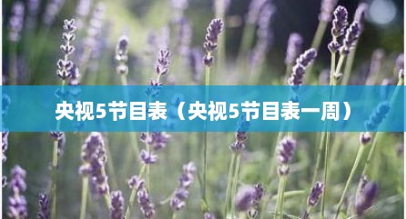 央视5节目表（央视5节目表一周）