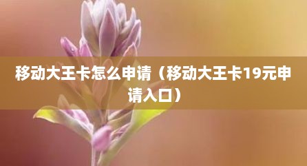 移动大王卡怎么申请（移动大王卡19元申请入口）