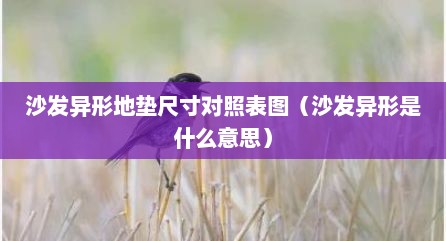 沙发异形地垫尺寸对照表图（沙发异形是什么意思）