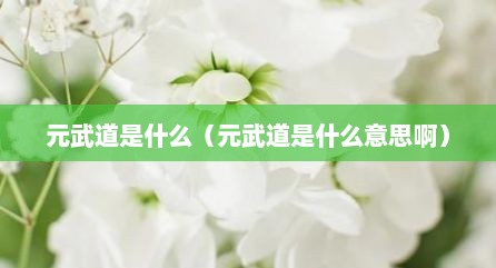 元武道是什么（元武道是什么意思啊）