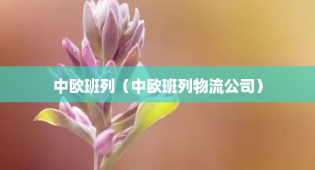 中欧班列（中欧班列物流公司）