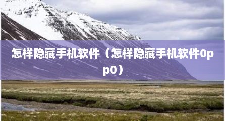 怎样隐藏手机软件（怎样隐藏手机软件0pp0）