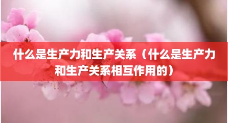什么是生产力和生产关系（什么是生产力和生产关系相互作用的）
