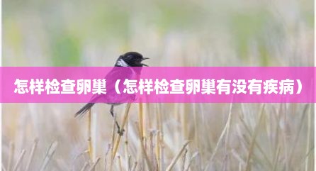 怎样检查卵巢（怎样检查卵巢有没有疾病）