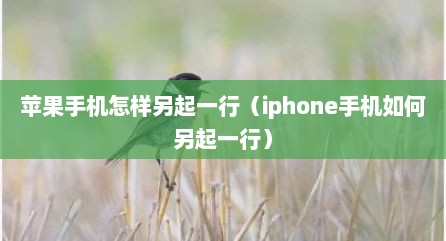 苹果手机怎样另起一行（iphone手机如何另起一行）