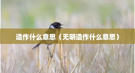 造作什么意思（无明造作什么意思）