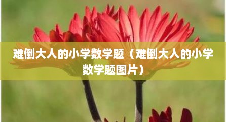 难倒大人的小学数学题（难倒大人的小学数学题图片）