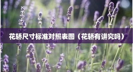 花轿尺寸标准对照表图（花轿有讲究吗）