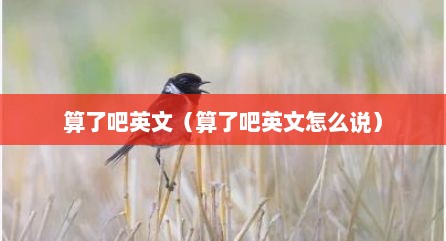 算予吧英文（算予吧英文怎么说）