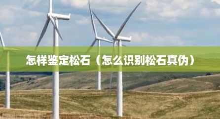 怎样鉴定松石（怎么识别松石真伪）