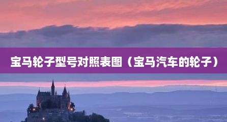 宝马轮子型号对照表图（宝马汽车的轮子）