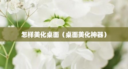 怎样美化桌面（桌面美化神器）