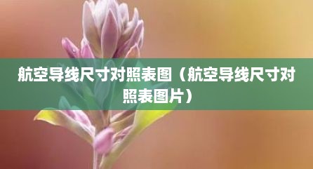 航空导线尺寸对照表图（航空导线尺寸对照表图片）