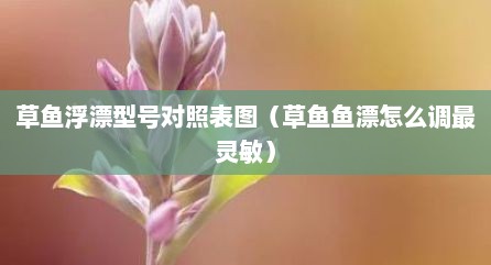 草鱼浮漂型号对照表图（草鱼鱼漂怎么调最灵敏）