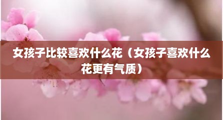 女孩子比较喜欢什么花（女孩子喜欢什么花更有气质）