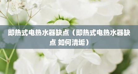 即热式电热水器缺点（即热式电热水器缺点 茹何清垢）