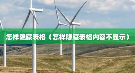 怎样隐藏表格（怎样隐藏表格内容不显示）