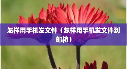 怎样用手机发文件（怎样用手机发文件到邮箱）