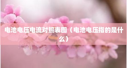电池电压电流对照表图（电池电压指的是什么）