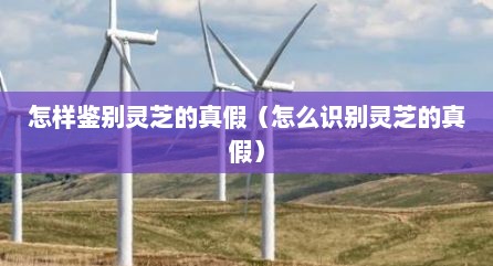 怎样鉴别灵芝的真假（怎么识别灵芝的真假）