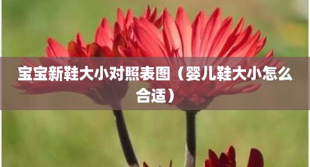 宝宝新鞋大小对照表图（婴儿鞋大小怎么合适）