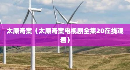太原奇案（太原奇案电视剧全集20在线观看）