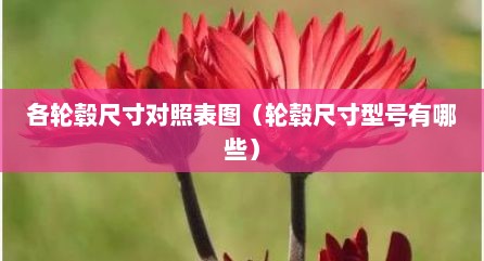 各轮毂尺寸对照表图（轮毂尺寸型号有哪些）
