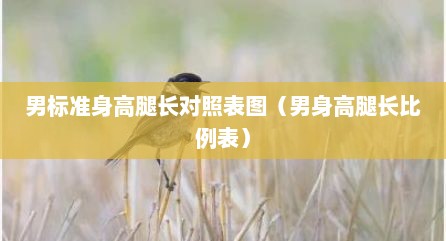 男标准身高腿长对照表图（男身高腿长比例表）