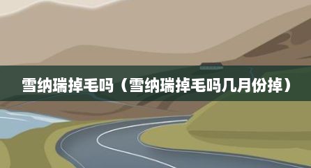 雪纳瑞掉毛吗（雪纳瑞掉毛吗几月份掉）