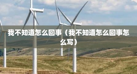 我不知道怎么回事（我不知道怎么回事怎么写）