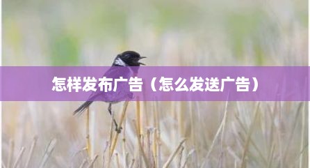 怎样发布广告（怎么发送广告）