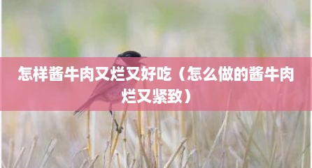 怎样酱牛肉又烂又好吃（怎么做的酱牛肉烂又紧致）