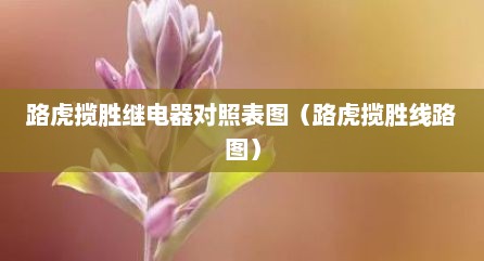 路虎揽胜继电器对照表图（路虎揽胜线路图）