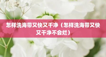 怎样洗海带又快又干净（怎样洗海带又快又干净不会烂）