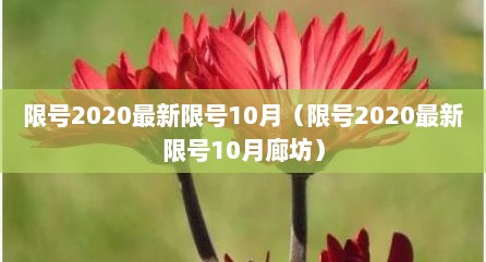 限号2020最新限号10月（限号2020最新限号10月廊坊）