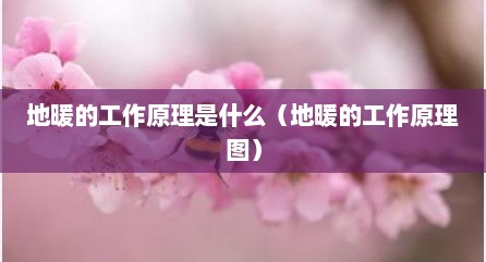 地暖的工作原理是什么（地暖的工作原理图）