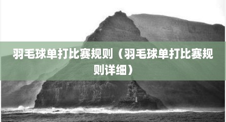 羽毛球单打比赛规则（羽毛球单打比赛规则详细）
