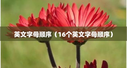 英文字母顺序（16个英文字母顺序）