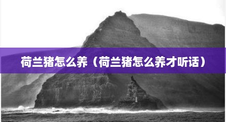 荷兰猪怎么养（荷兰猪怎么养才听话）