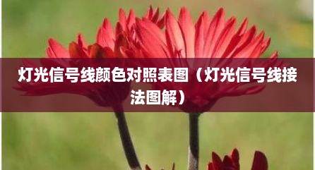 灯光信号线颜色对照表图（灯光信号线接法图解）