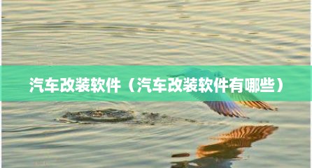 汽车改装软件（汽车改装软件有哪些）