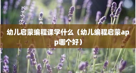 幼儿启蒙编程课学什么（幼儿编程启蒙app哪个好）
