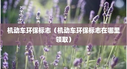 机动车环保标志（机动车环保标志在哪里领取）