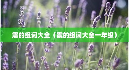 震的组词大全（震的组词大全一年级）