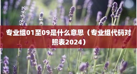 专业组01至09是什么意思（专业组代码对照表2024）
