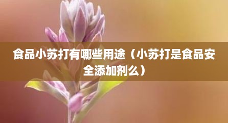 食品小苏打有哪些用途（小苏打是食品安全添加剂么）