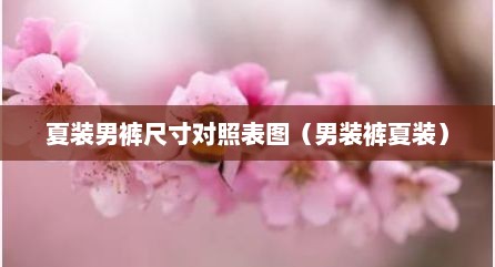 夏装男裤尺寸对照表图（男装裤夏装）