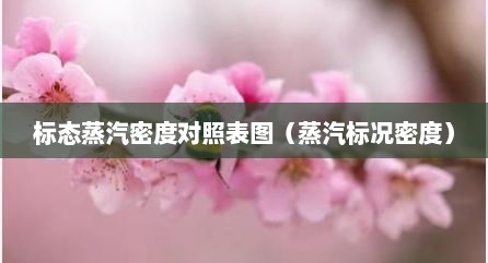 标态蒸汽密度对照表图（蒸汽标况密度）